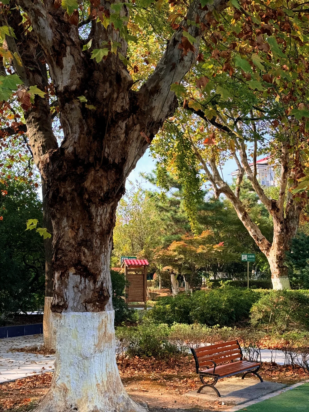 南昌最出片的5⃣️个秋日打卡地🍂（附地址