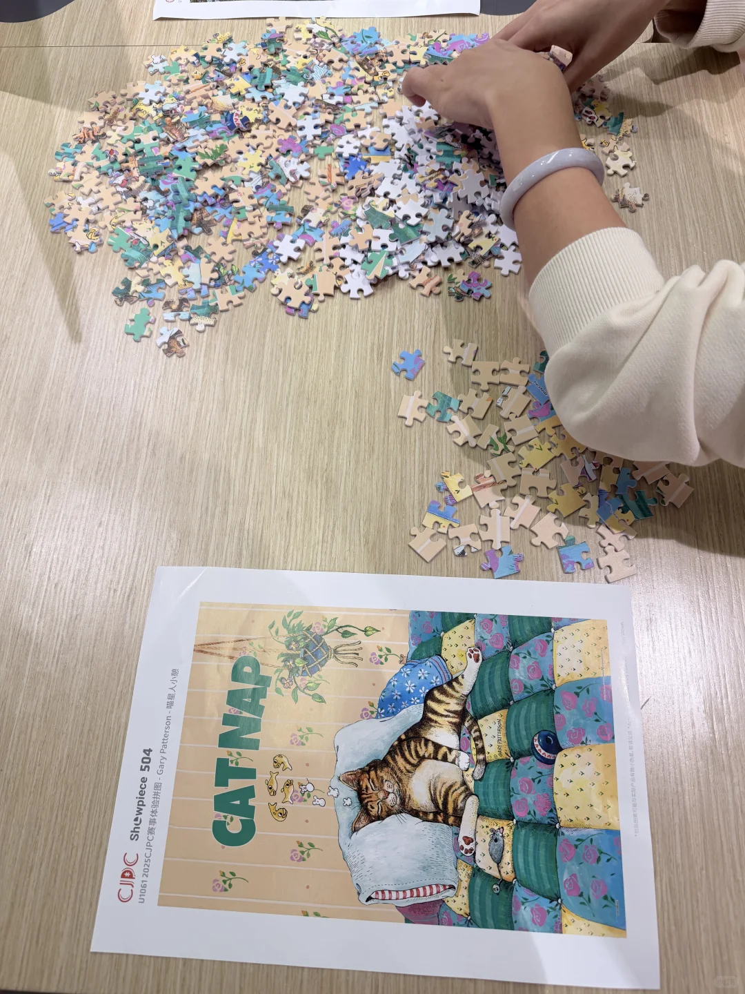 🎉CJPC「赛事体验区」开启！欢迎体验👏