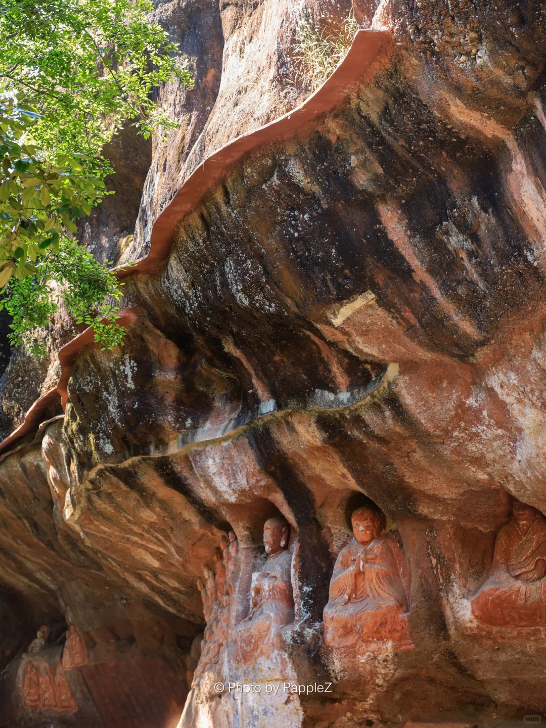 刚回来❗️通天岩挑战赛🏅💪说点大实话！