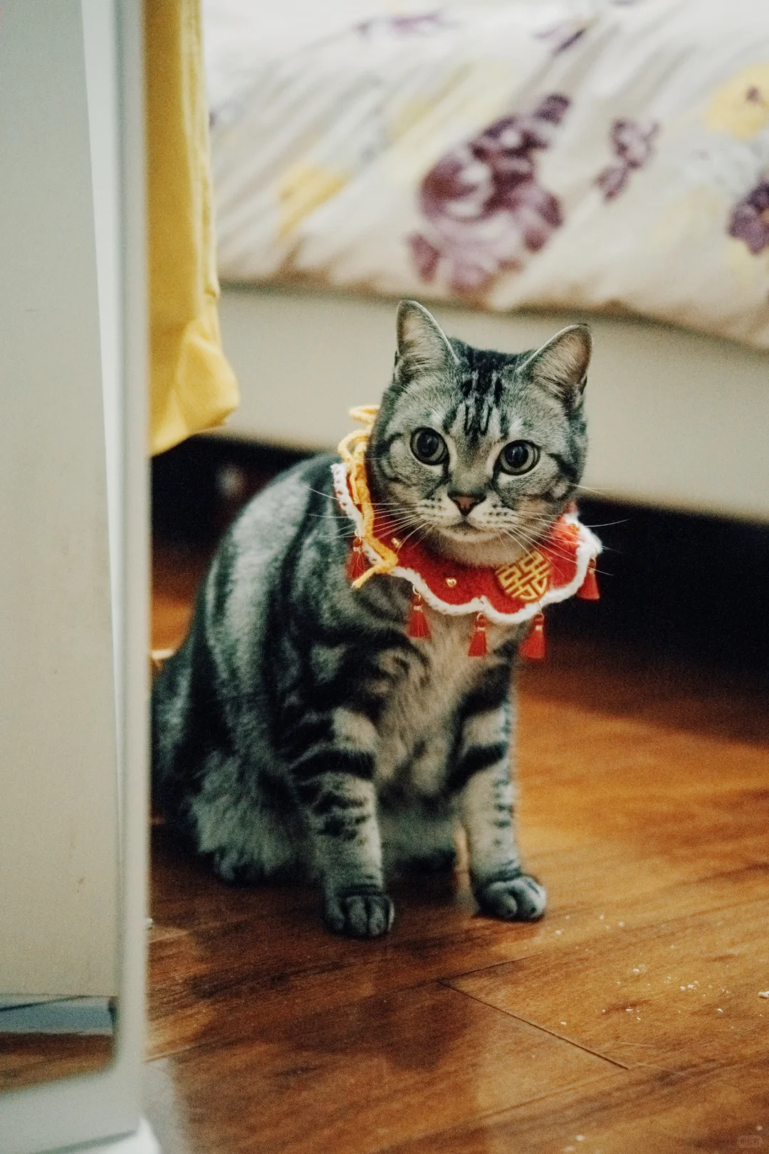 赣州婚礼跟拍|这天，钢琴猫猫都在祝福❤️