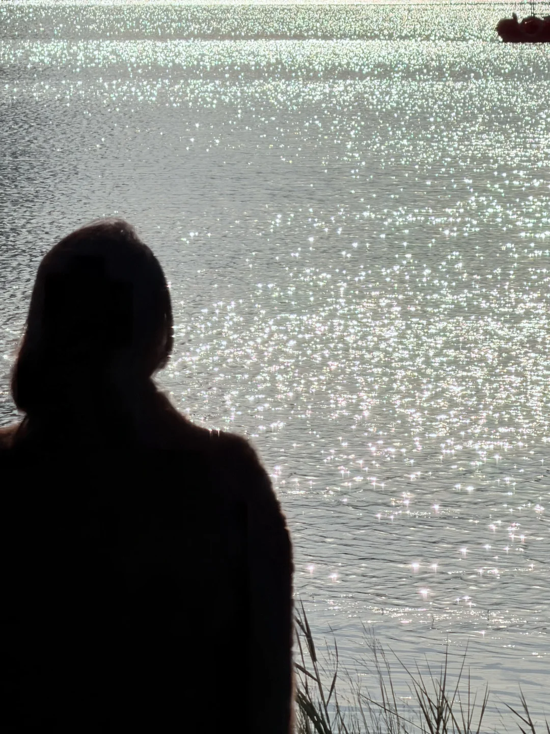 赣州📍发光的湖面像星星✨