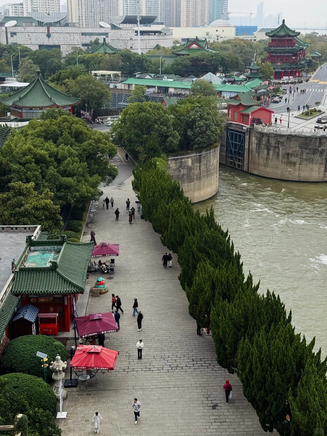 淡季的南昌真的是人间理想。。。。🌲🌲🌲