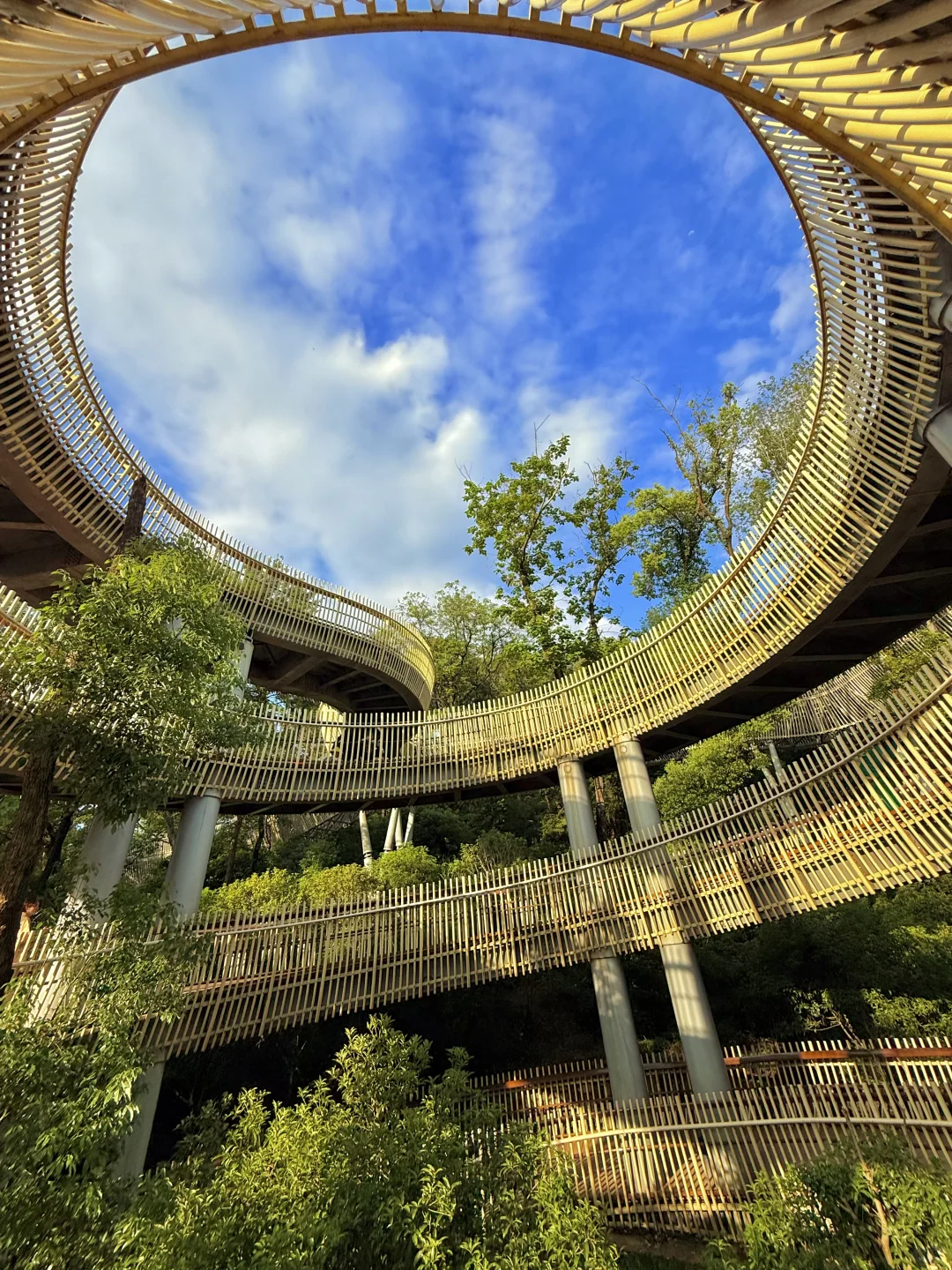 南昌梅岭是个巨大的能量场。。。。