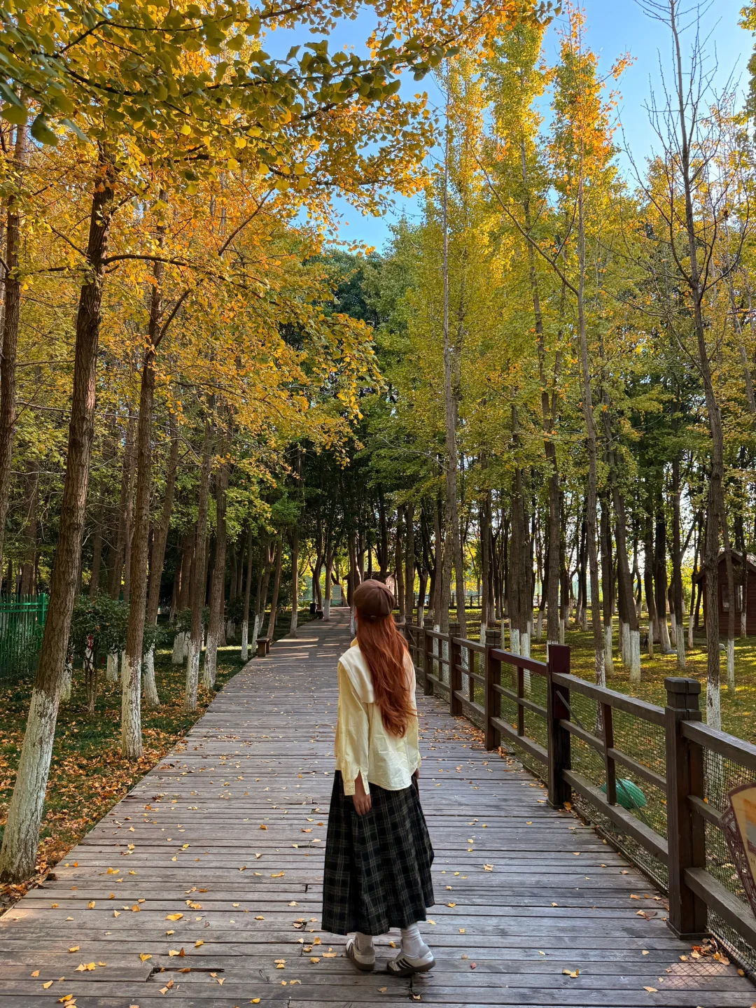 12月来南昌的进！南昌己降温周 真心提醒…