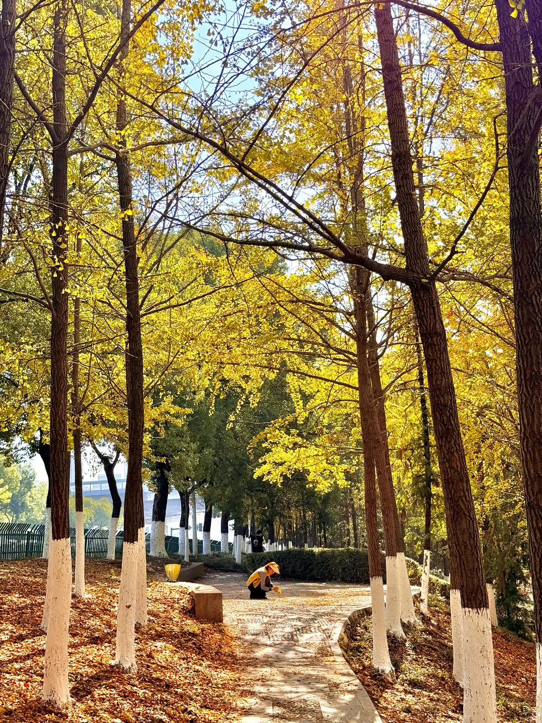 南昌最出片的5⃣️个秋日打卡地🍂（附地址