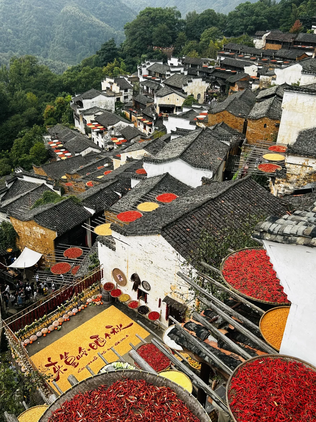 📍江西六天五夜游｜婺源、景德镇、南昌