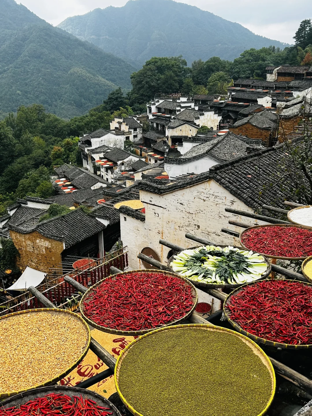 📍江西六天五夜游｜婺源、景德镇、南昌