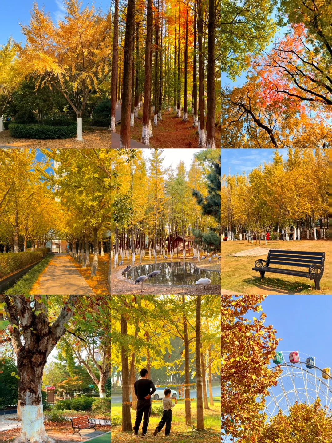 南昌最出片的5⃣️个秋日打卡地🍂（附地址