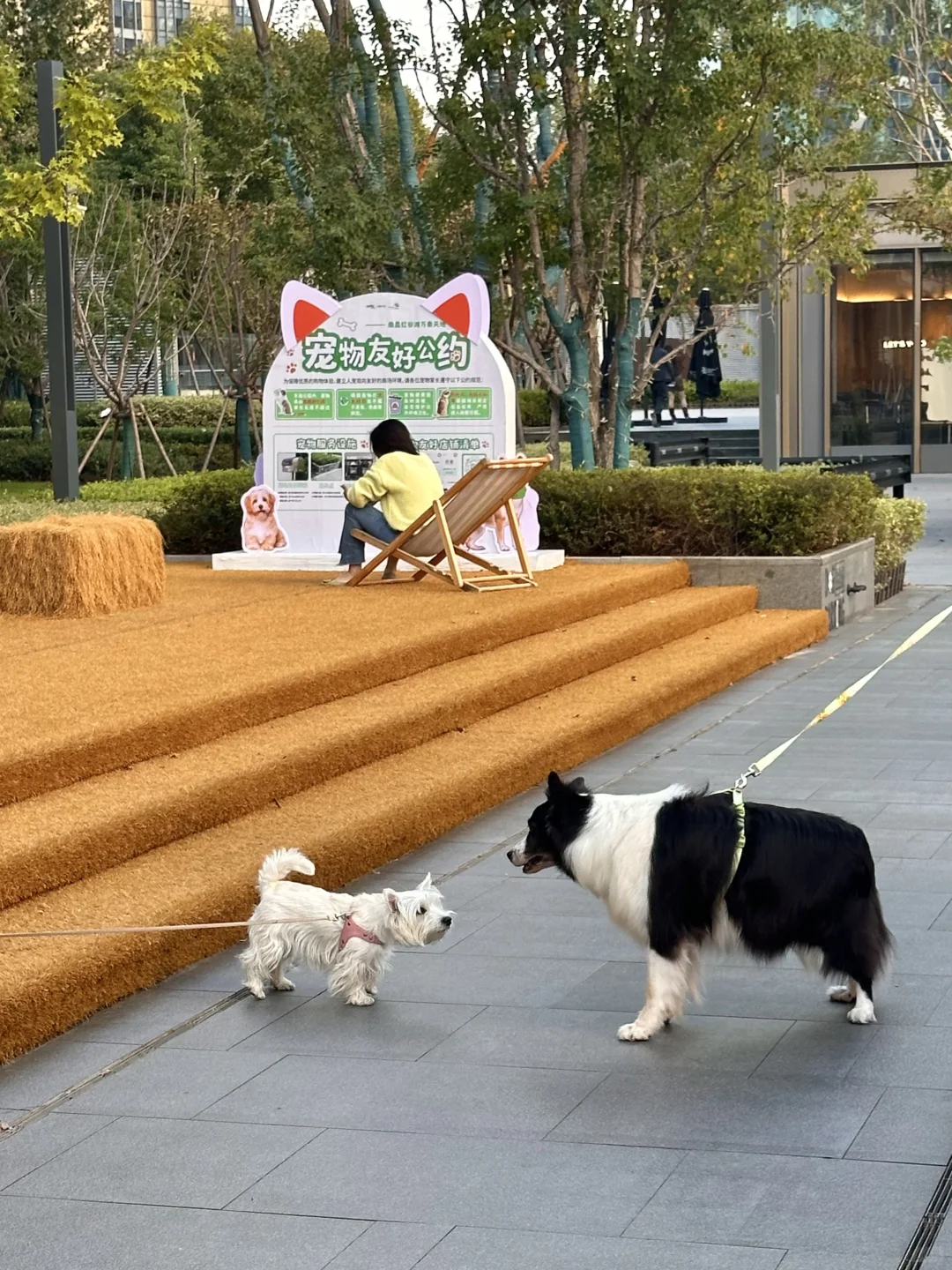 在南昌，捕捉自在放松时刻…