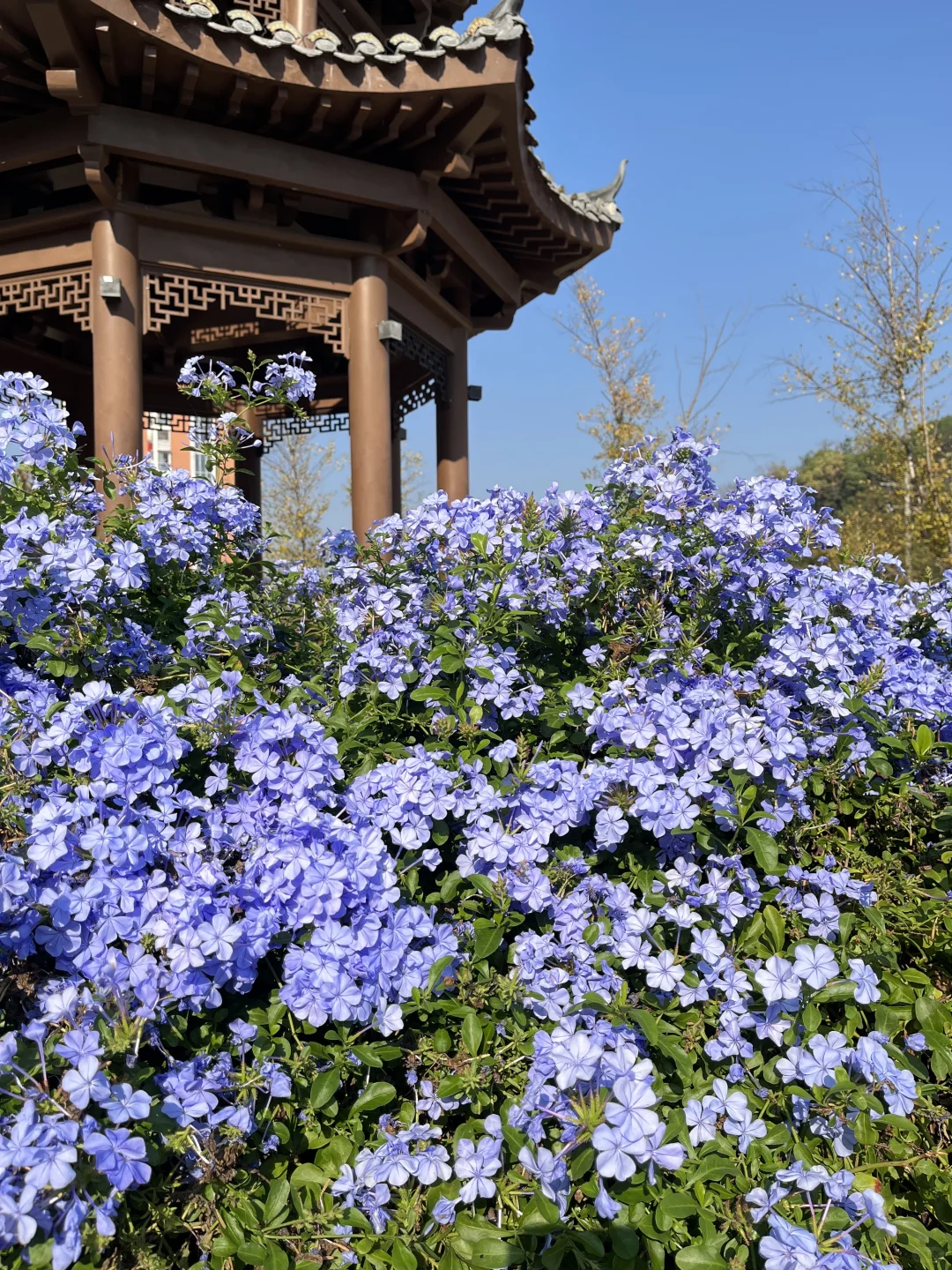 赣州⋆ ˚｡⋆୨ 𝙗𝙪𝙩𝙩𝙚𝙧𝙛𝙡𝙮 ୧⋆｡🦋˚ ⋆