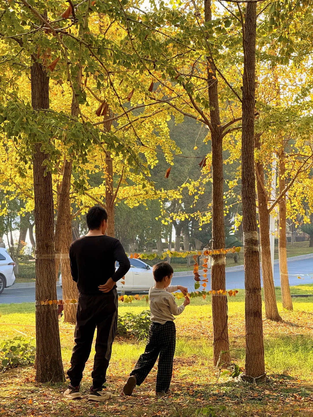 南昌最出片的5⃣️个秋日打卡地🍂（附地址