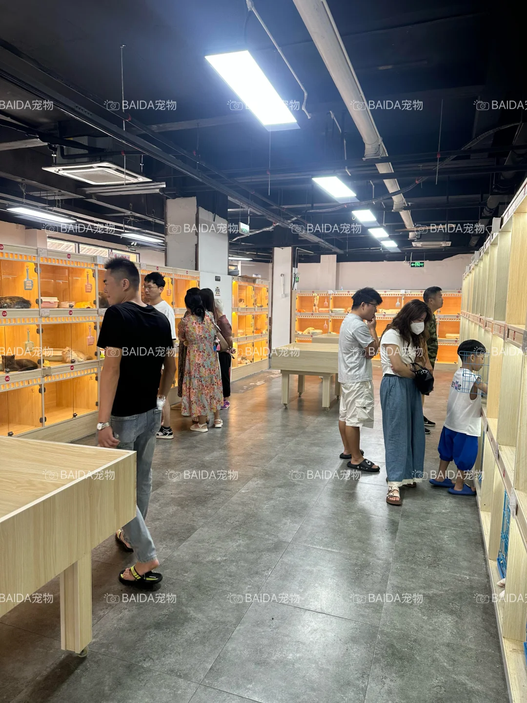 南昌买狗买猫避坑！！【南昌大型宠物基地】