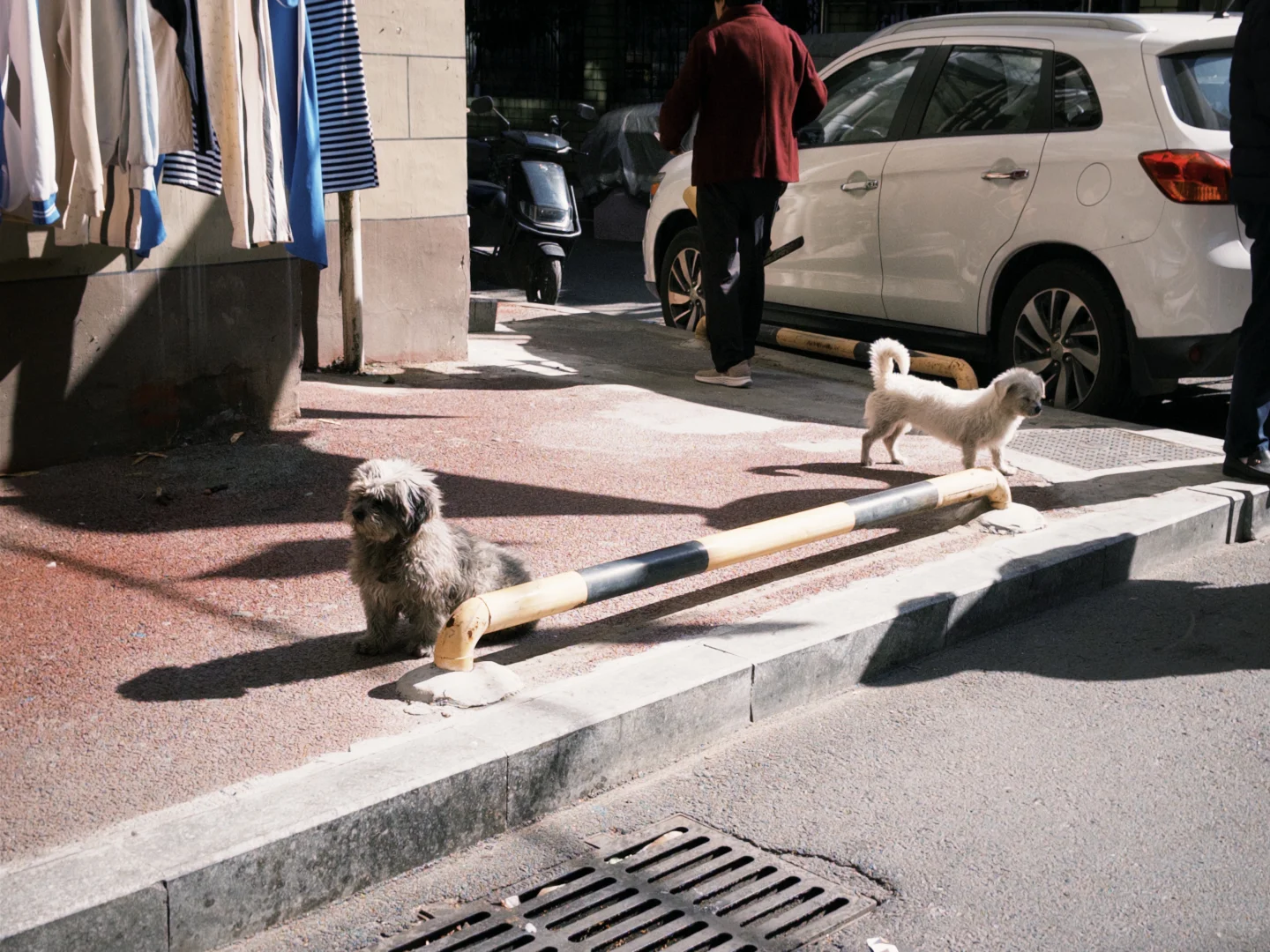 西游记 Day1 南昌➡️长沙