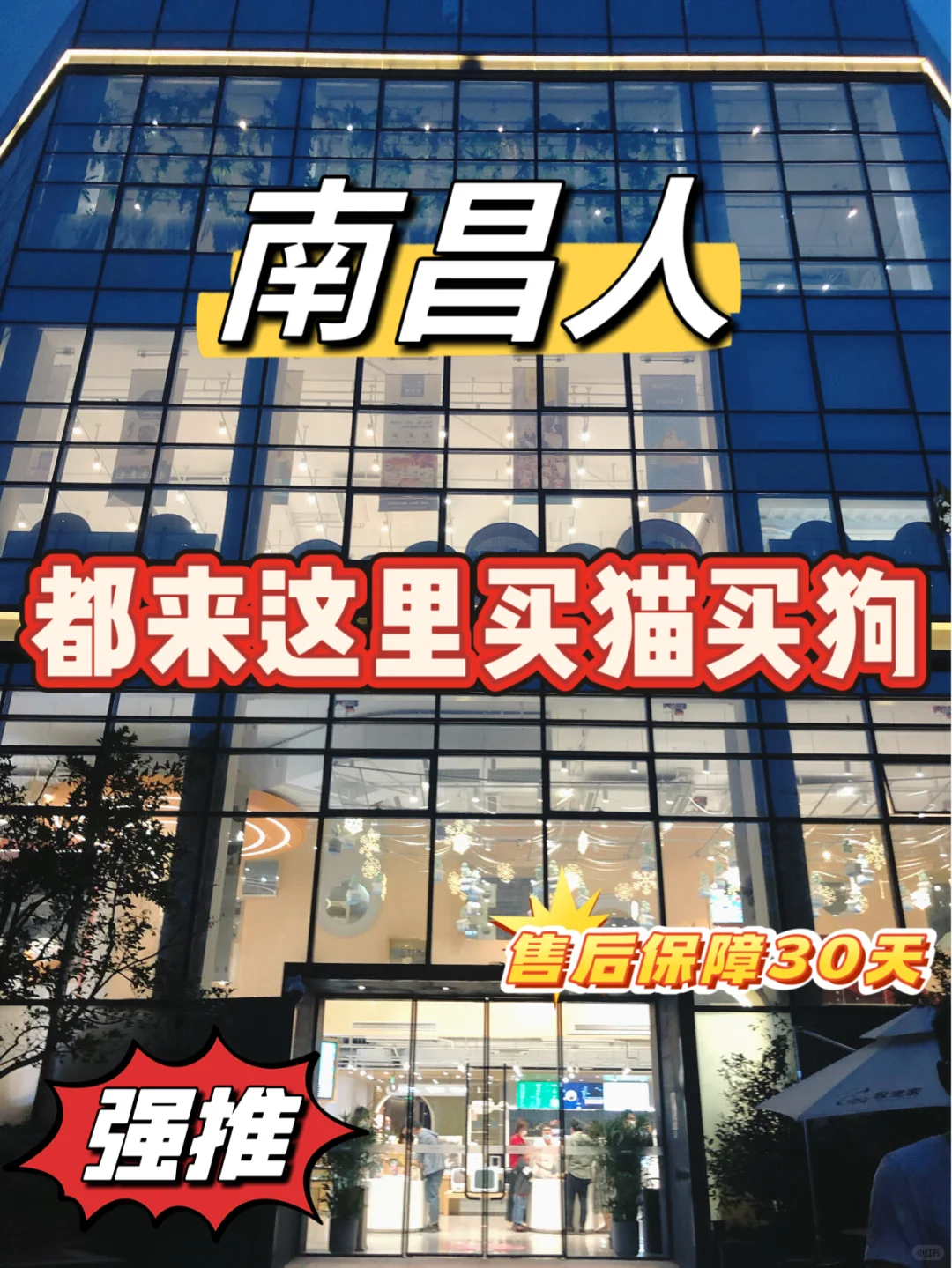 南昌买狗买猫避坑！！【南昌大型宠物基地】