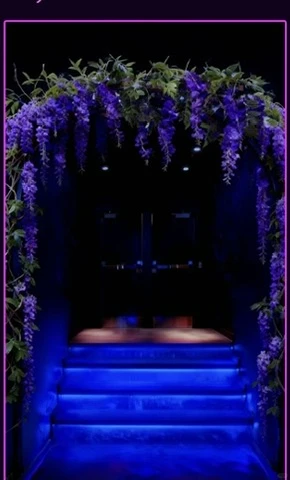 南昌12月6日/7日紫藤花雨仪式告别场