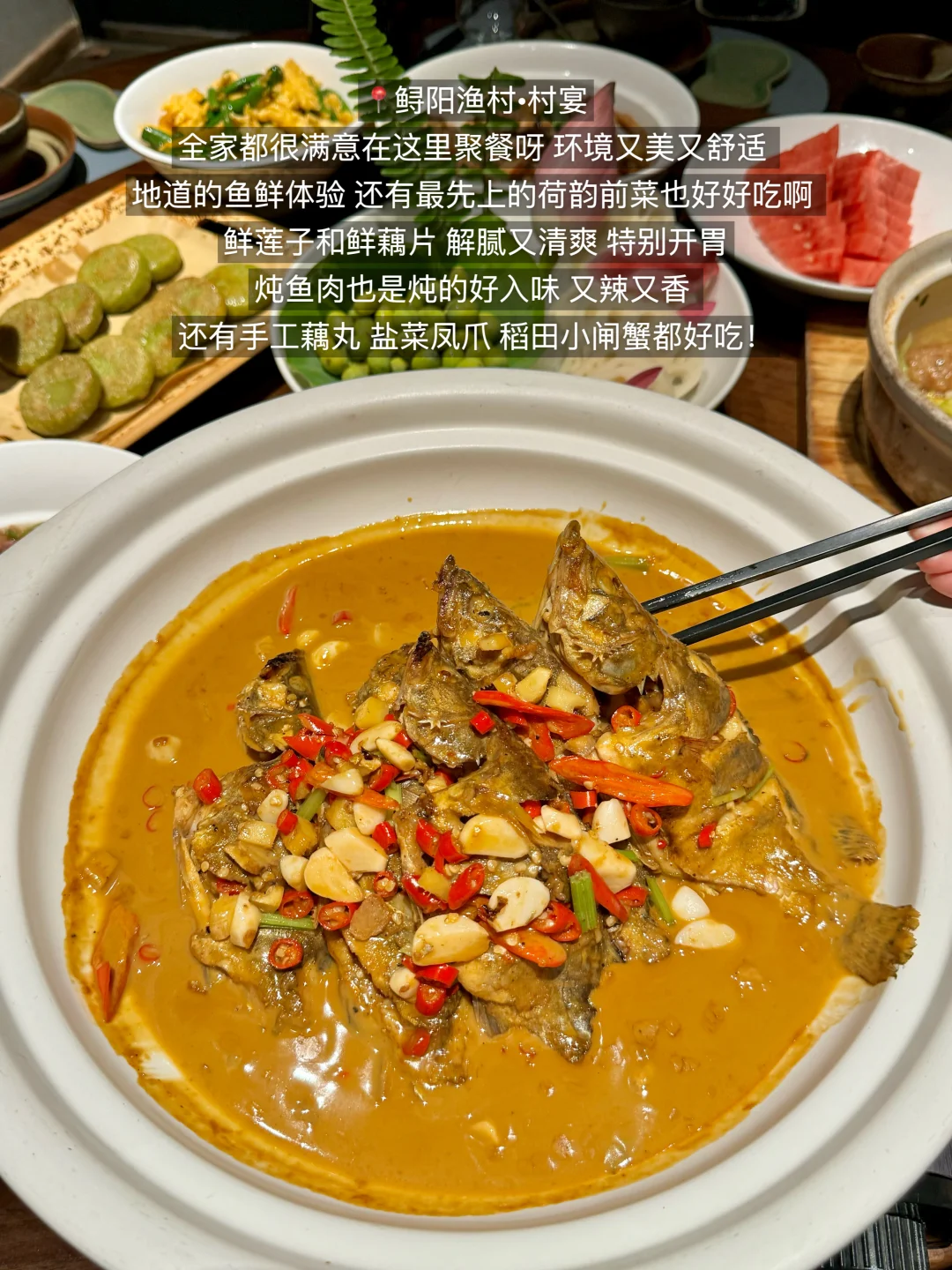 南昌旅游刚回…💔能救一个是一个！！