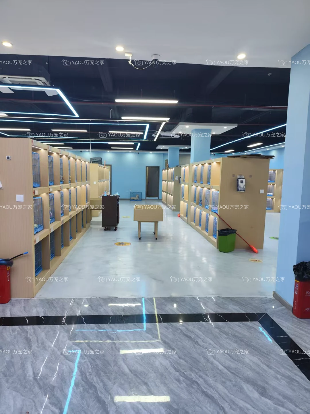 南昌第一宠物基地|南昌买猫买狗|南昌宠物