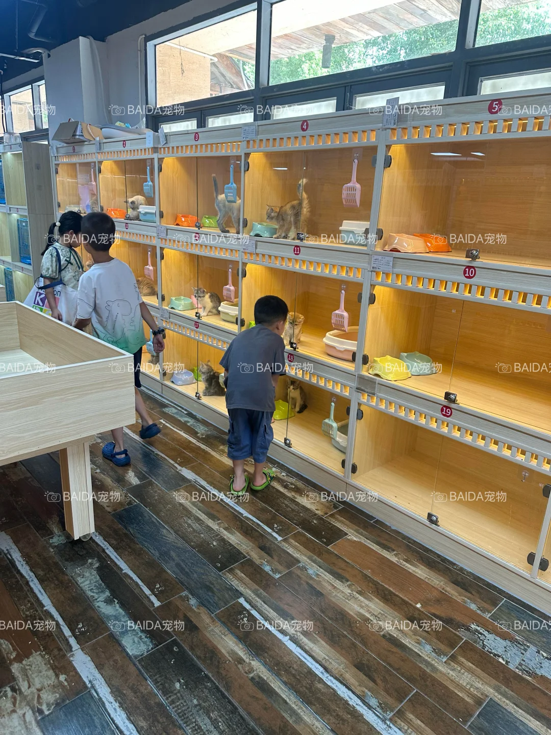 南昌买狗买猫避坑！！【南昌大型宠物基地】
