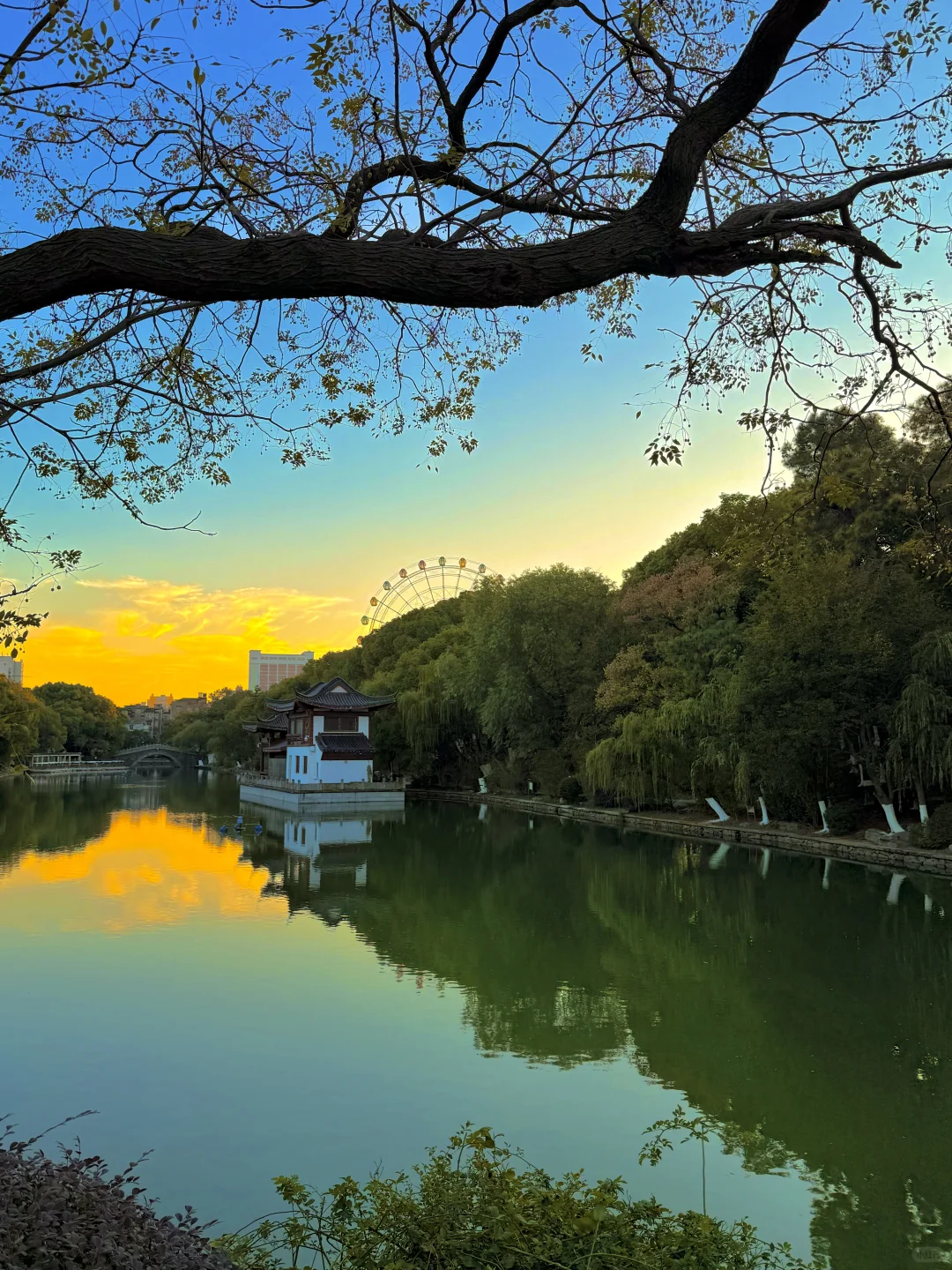 11.21南昌人民公园杀疯了！！live实况