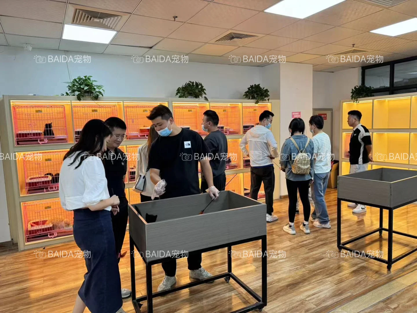 南昌买狗买猫避坑！！【南昌大型宠物基地】