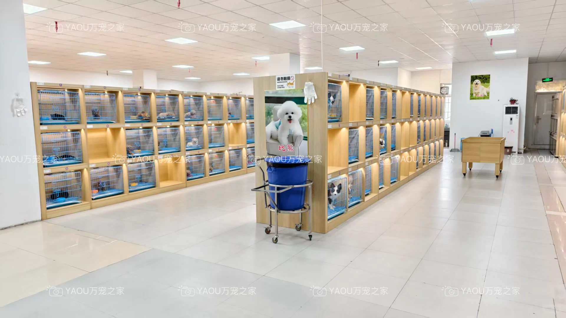 南昌独栋犬舍|南昌买狗好去处|南昌宠物