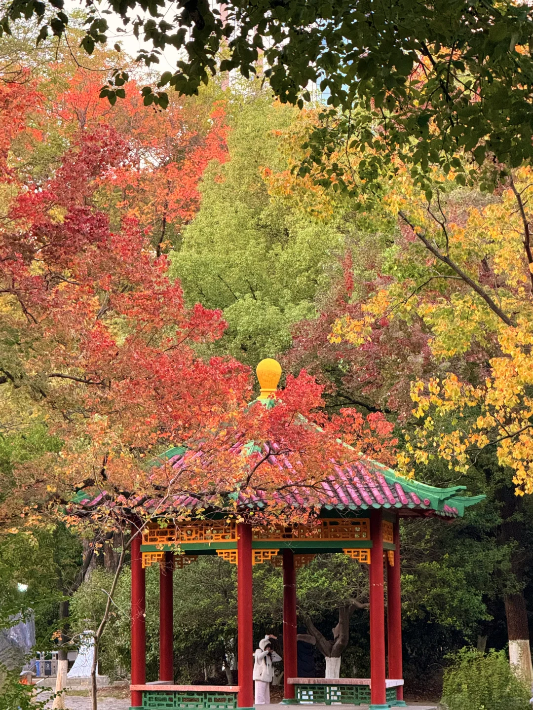 11.21南昌人民公园杀疯了！！live实况