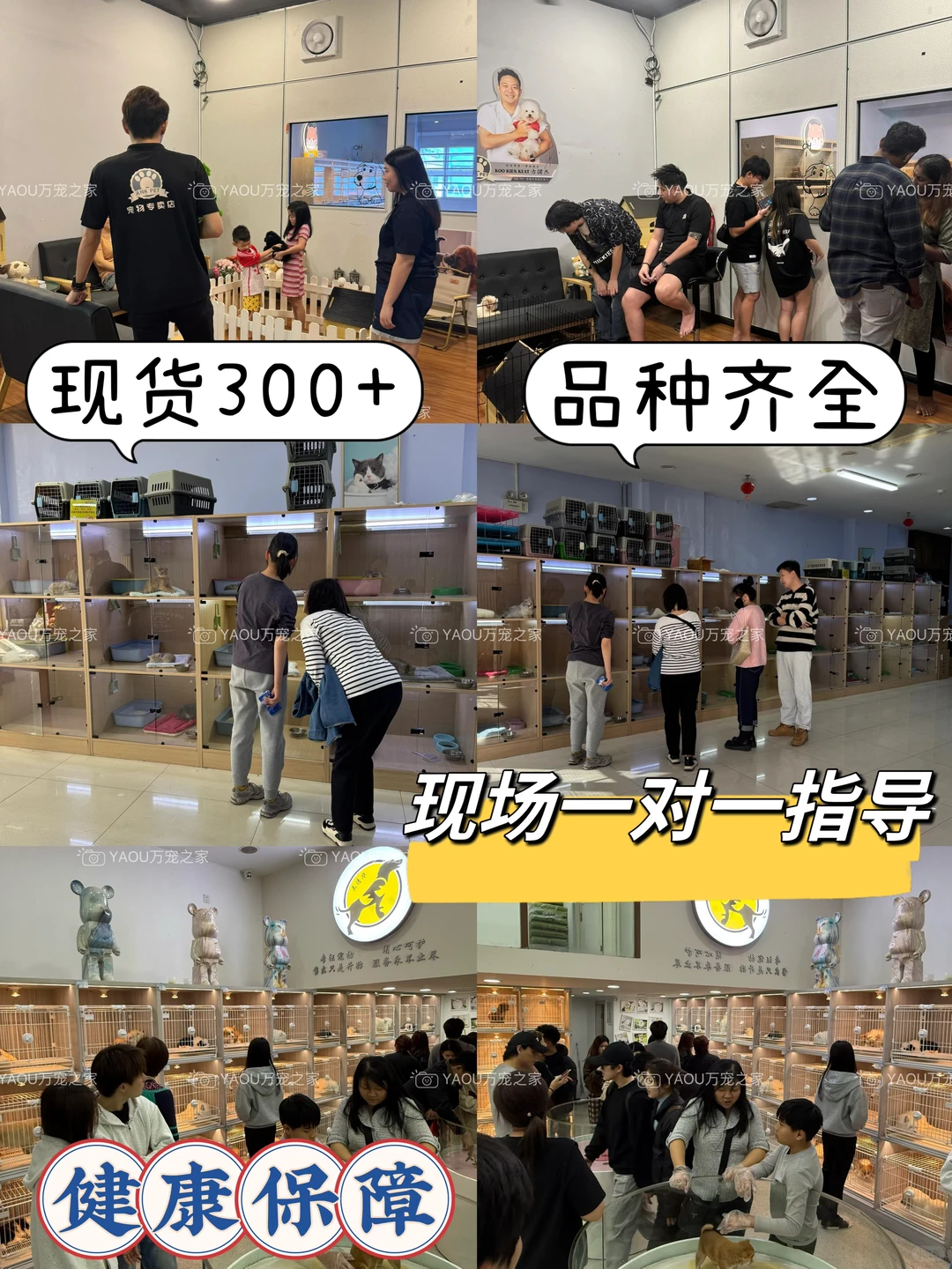 南昌买狗好去处！！南昌宠物基地推荐