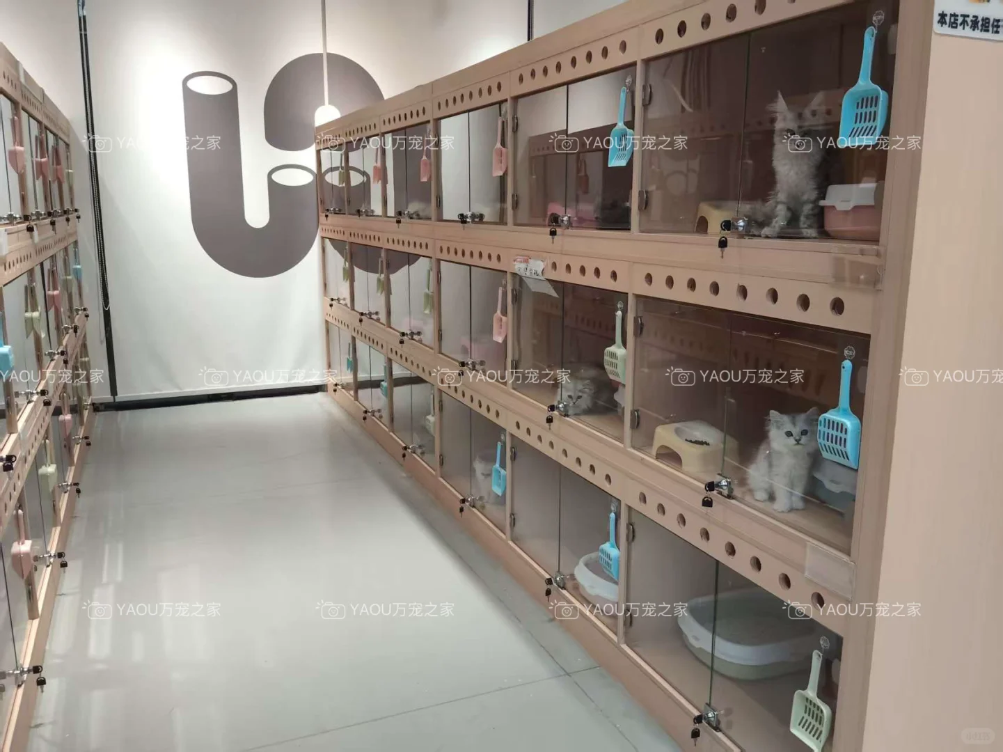 南昌买狗好去处！！南昌宠物基地推荐