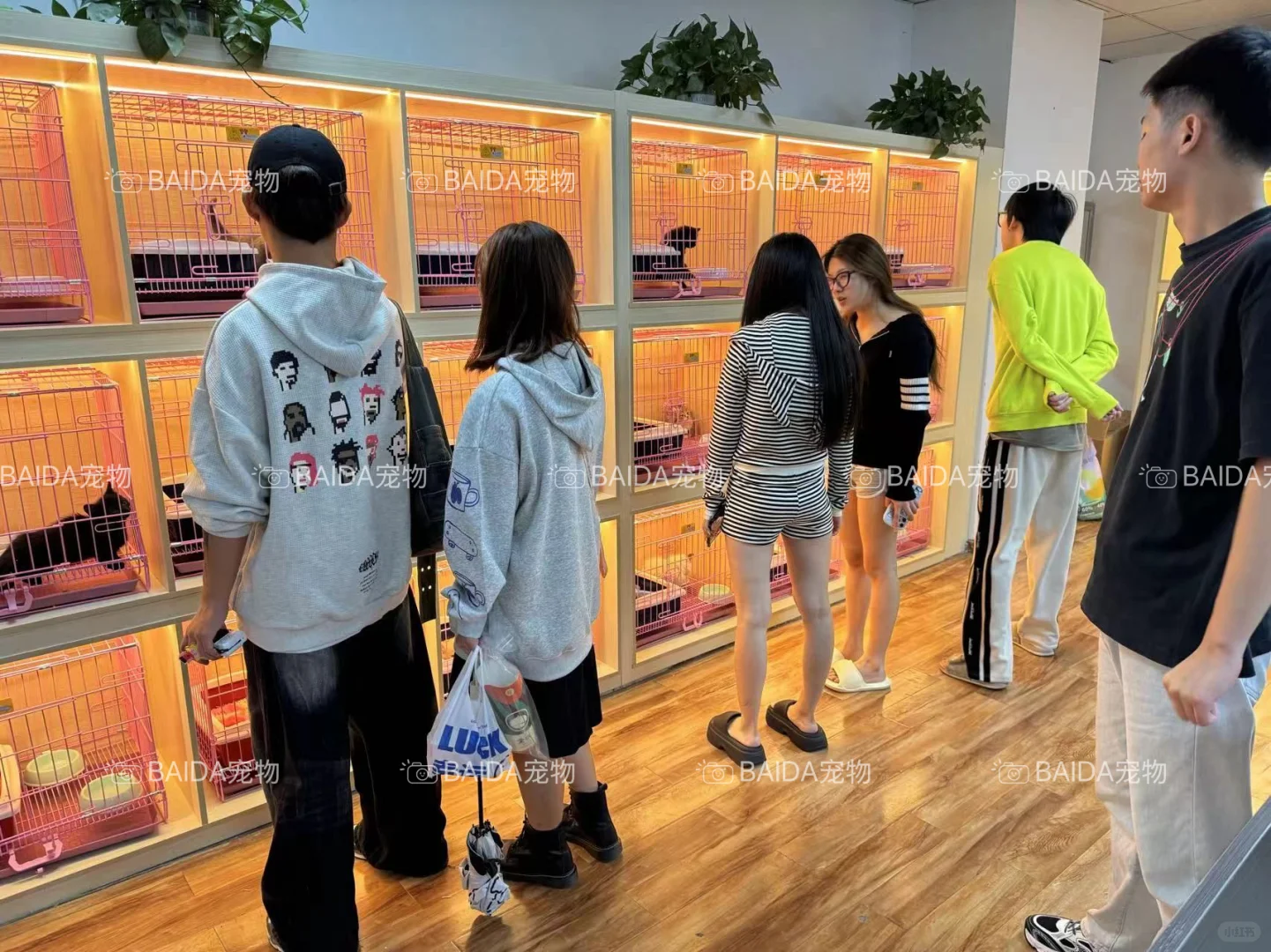 南昌买狗买猫避坑！！【南昌大型宠物基地】