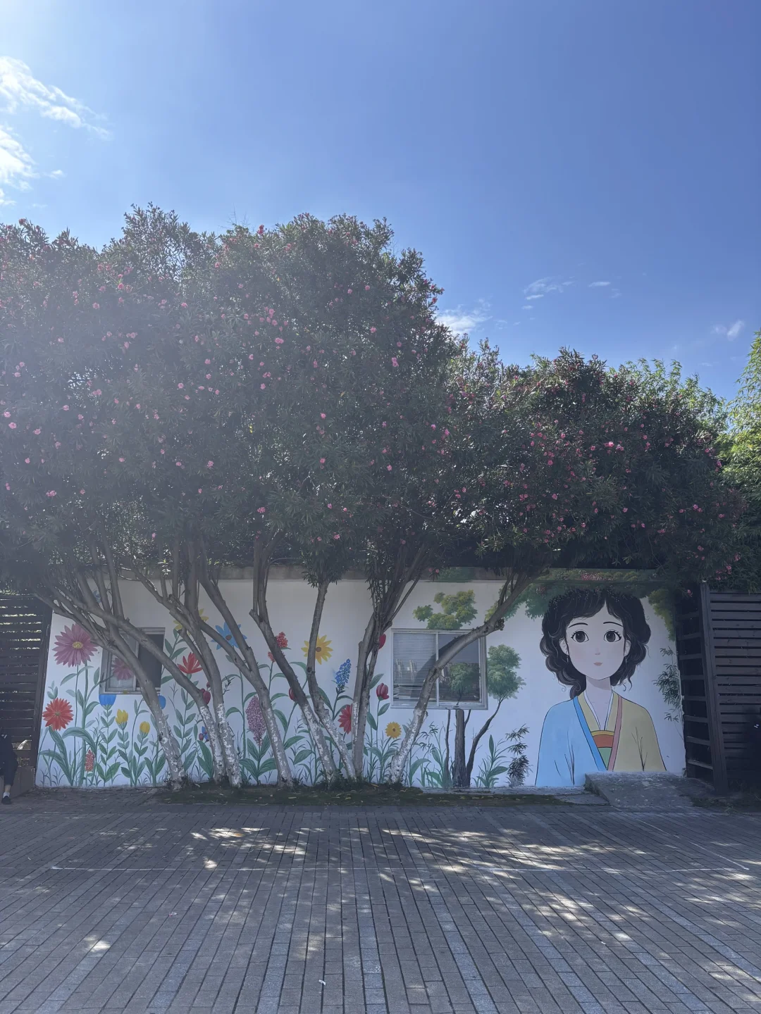 为了这1️⃣2️⃣张照片，特意去了趟南昌🏮！