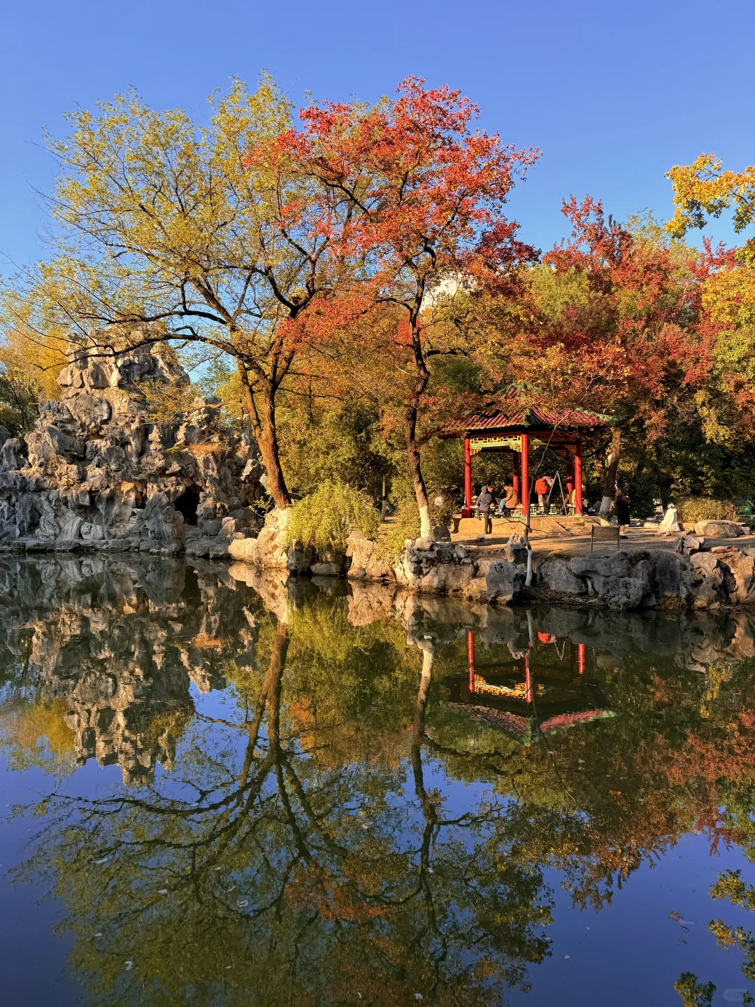 11.21南昌人民公园杀疯了！！live实况