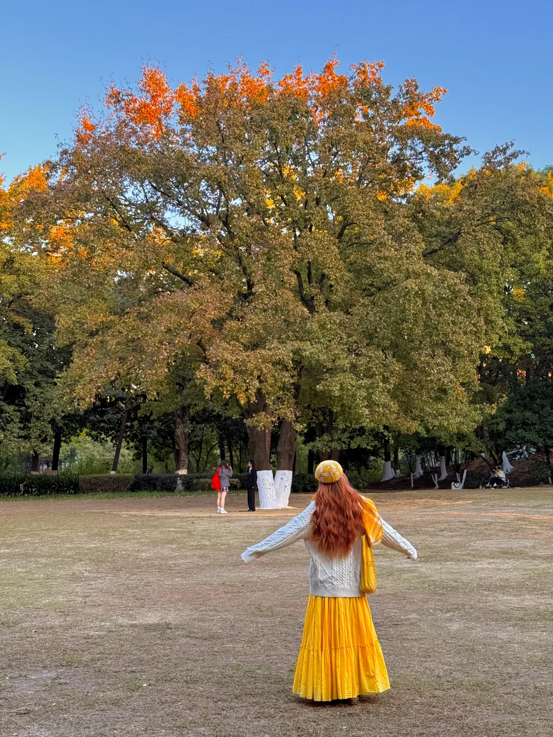 11.21南昌人民公园杀疯了！！live实况