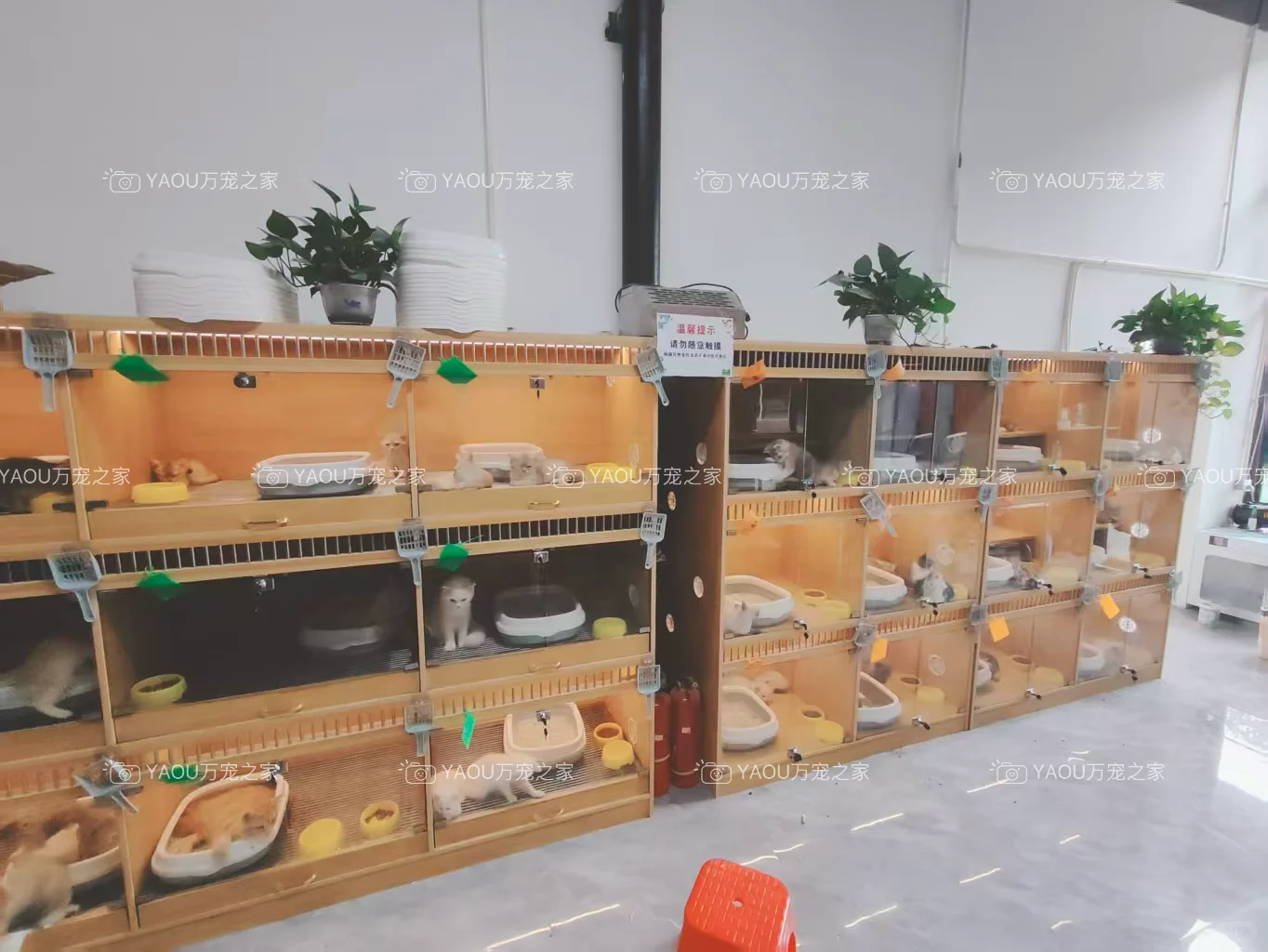 南昌买狗好去处！！南昌宠物基地推荐