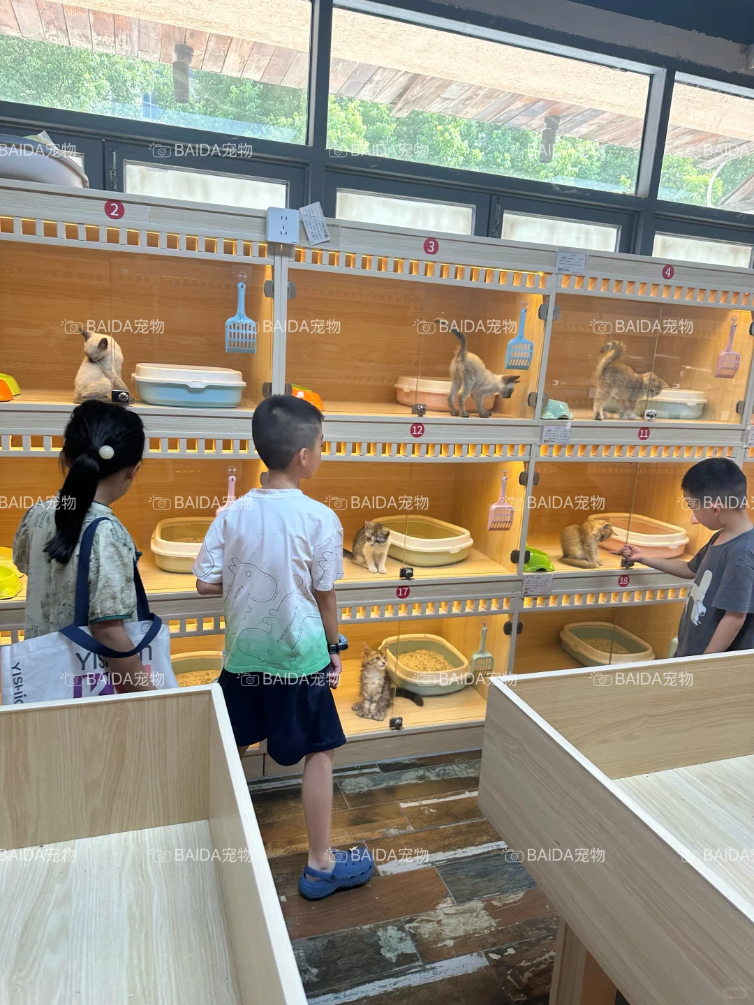 南昌买狗买猫避坑！！【南昌大型宠物基地】