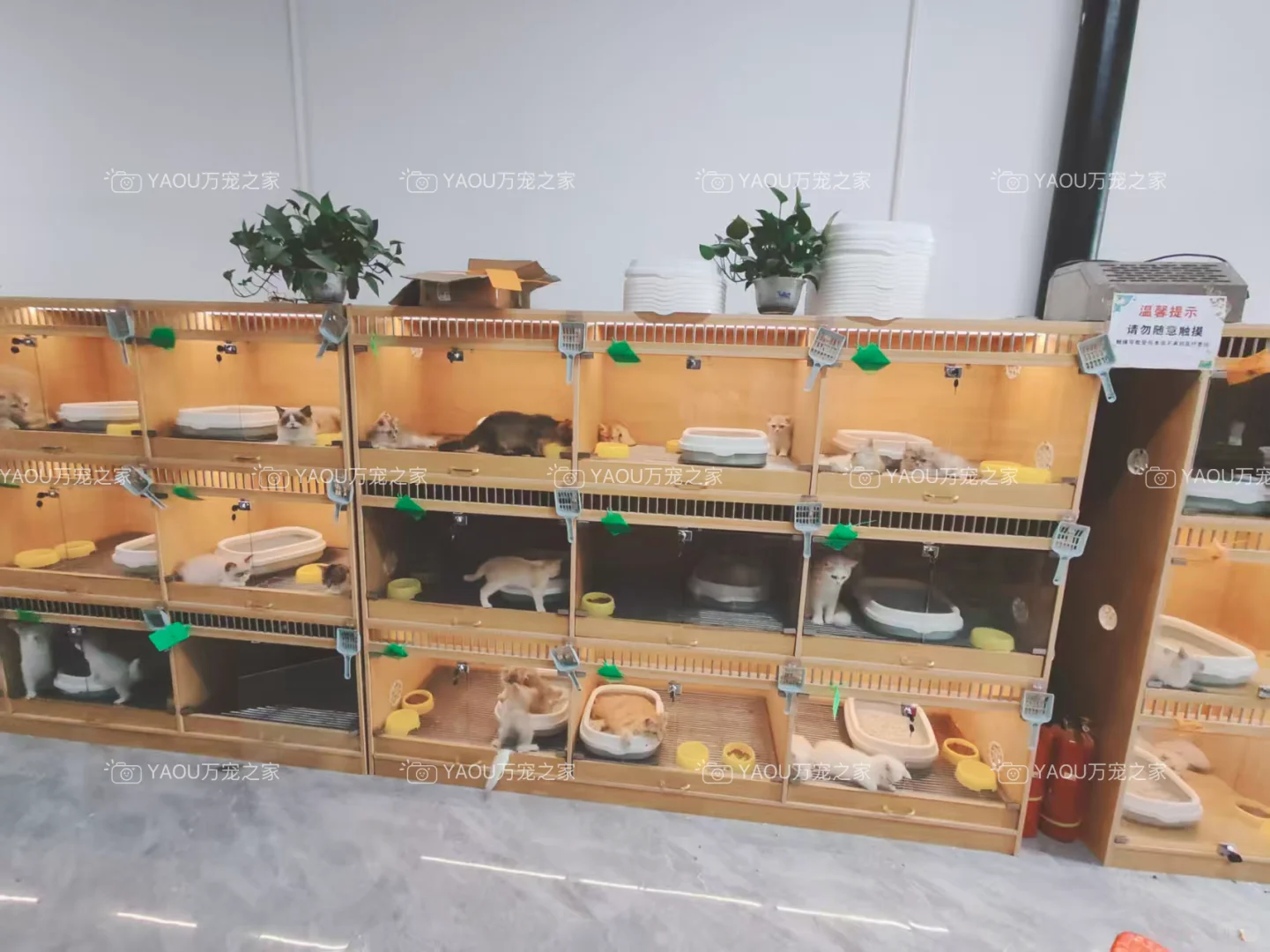 南昌买狗好去处！！南昌宠物基地推荐