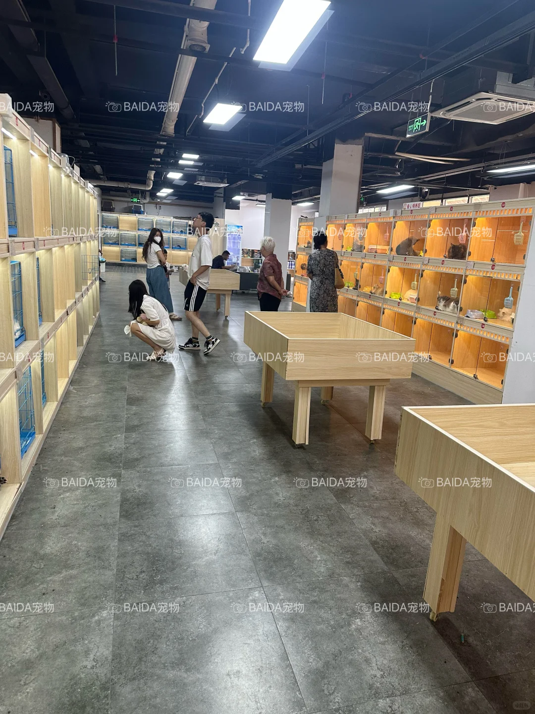 南昌买狗买猫避坑！！【南昌大型宠物基地】