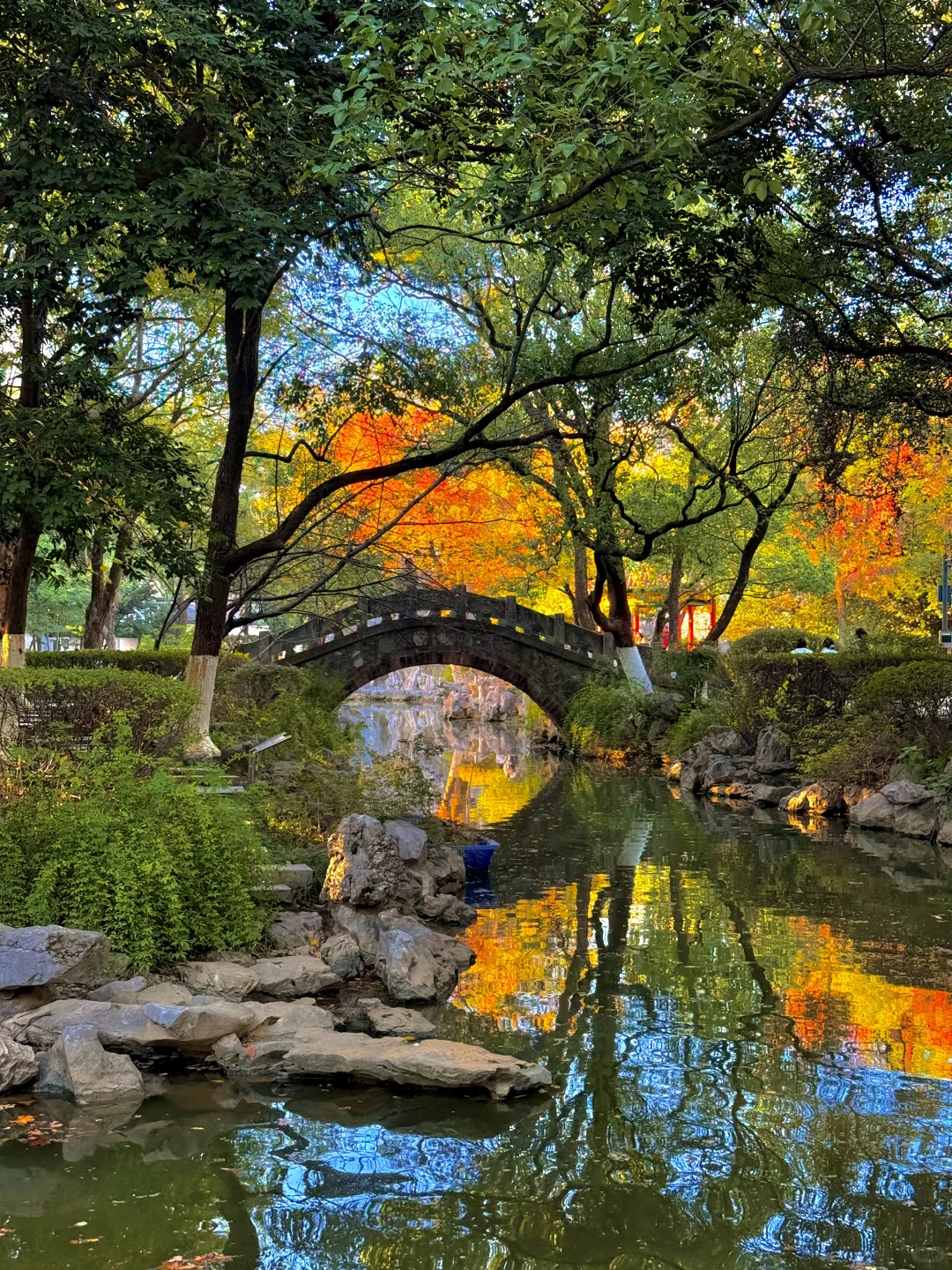 11.21南昌人民公园杀疯了！！live实况