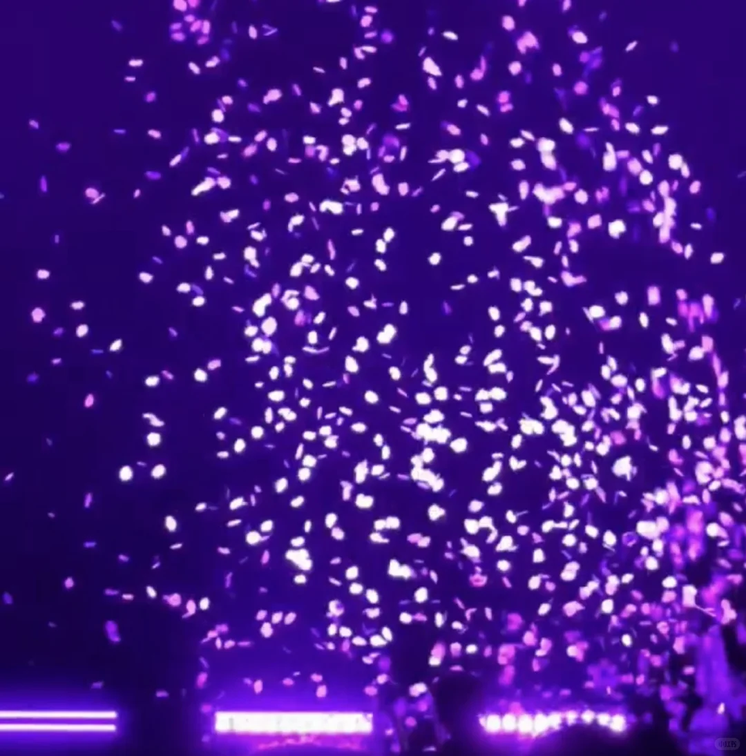 南昌12月6日/7日紫藤花雨仪式告别场