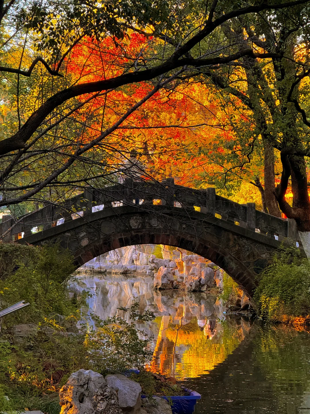 11.21南昌人民公园杀疯了！！live实况