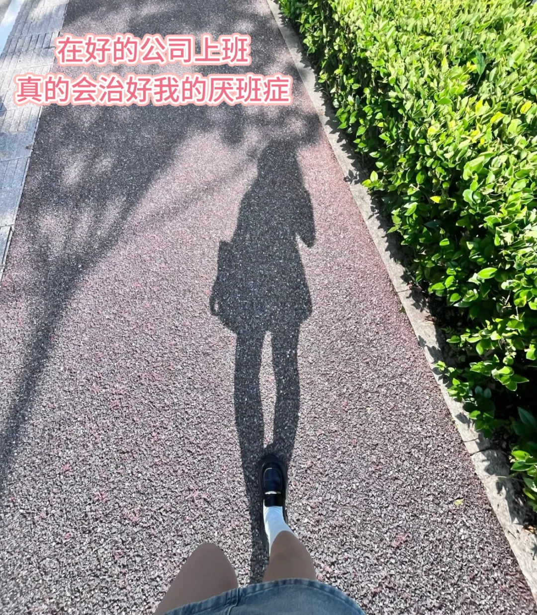 在南昌女性友好公司治好了我的厌班症！