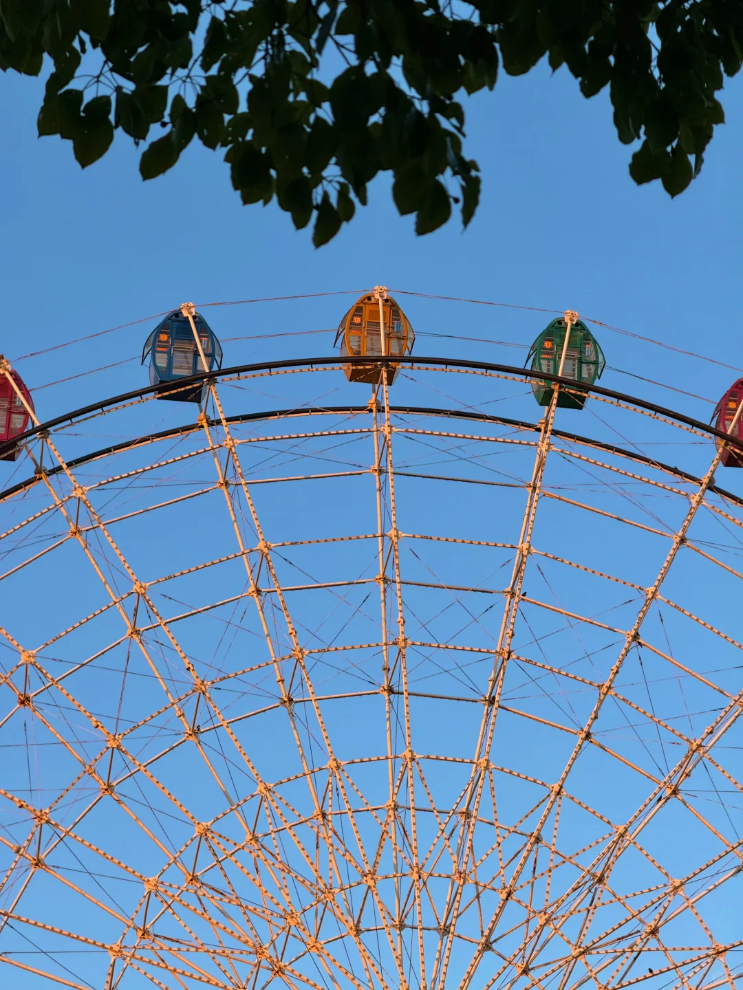 11.21南昌人民公园杀疯了！！live实况