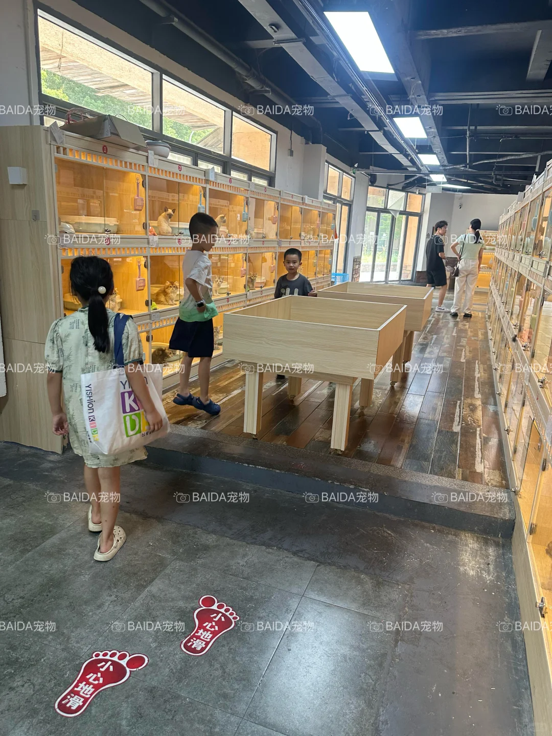 南昌买狗买猫避坑！！【南昌大型宠物基地】