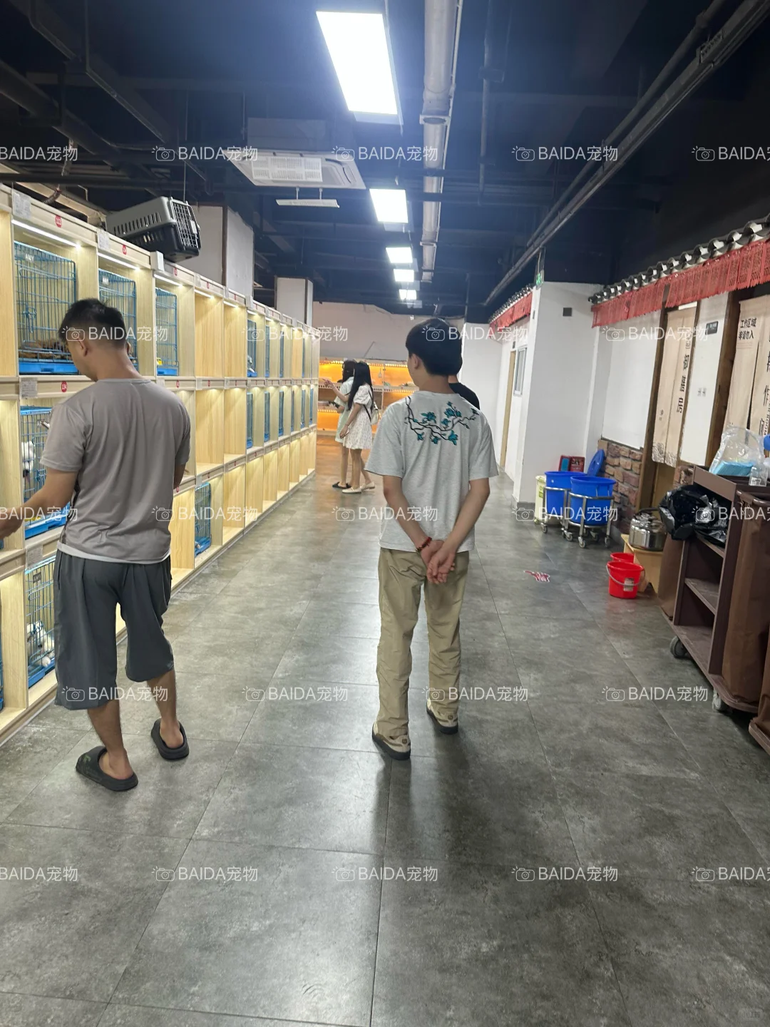 南昌买狗买猫避坑！！【南昌大型宠物基地】