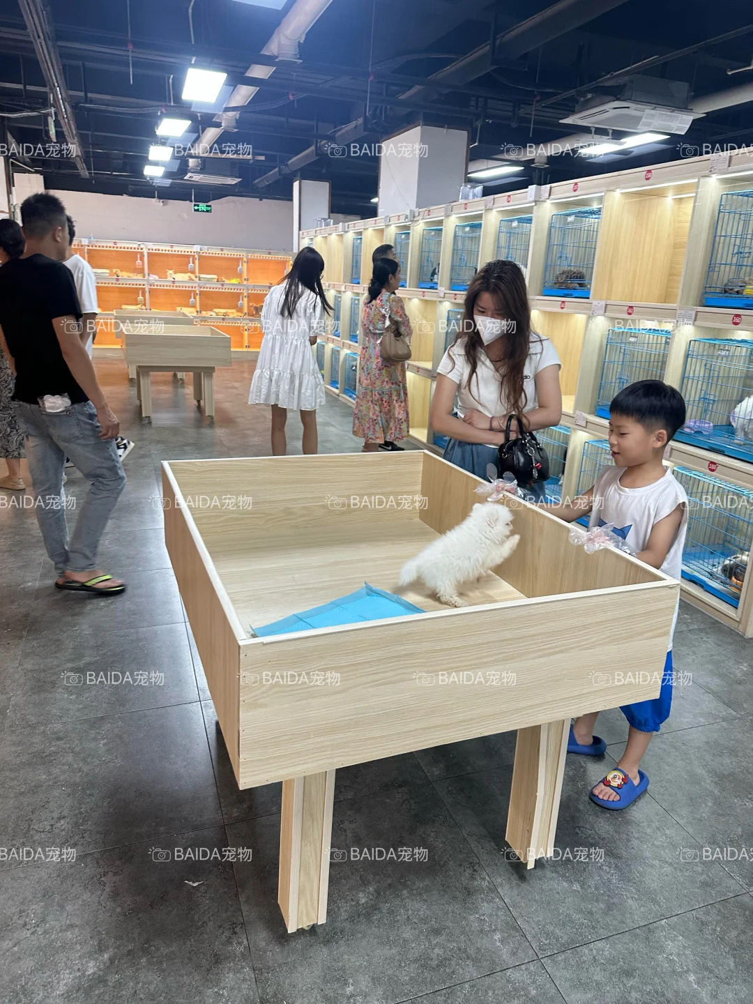 南昌买狗买猫避坑！！【南昌大型宠物基地】