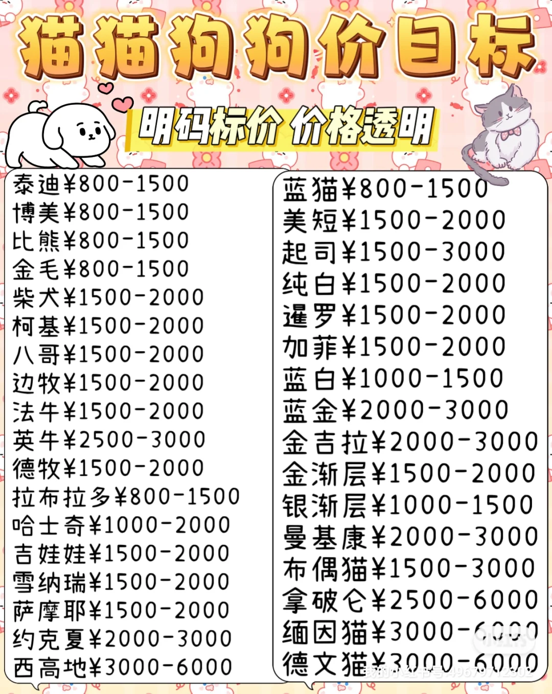 南昌买狗买猫避坑！！【南昌大型宠物基地】