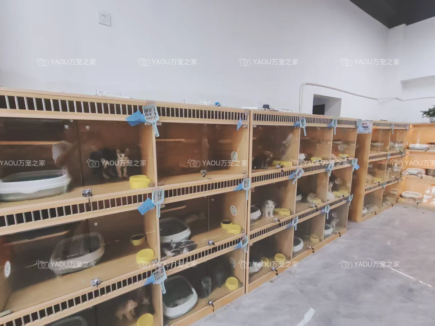 南昌买狗好去处！！南昌宠物基地推荐