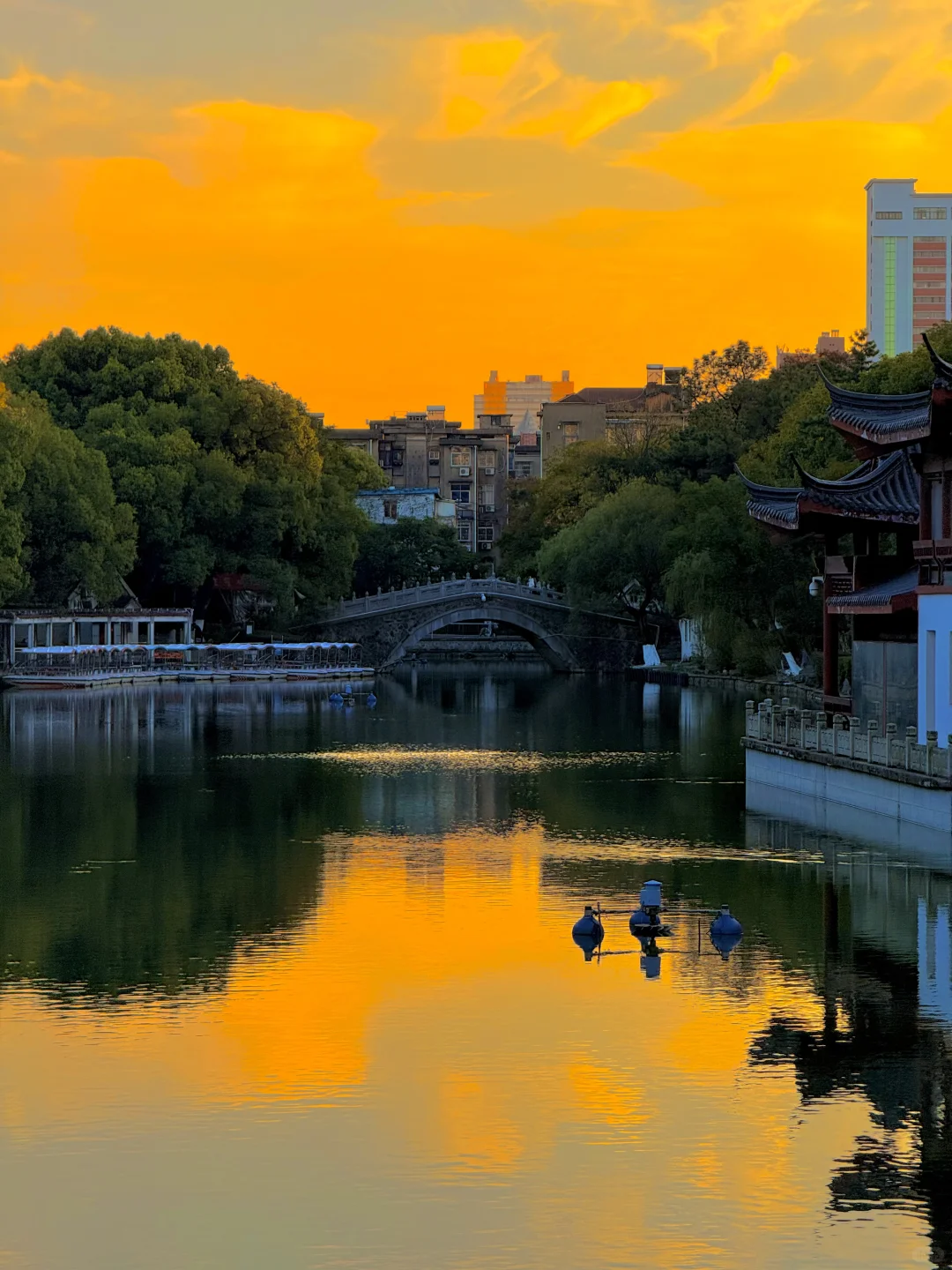 11.21南昌人民公园杀疯了！！live实况