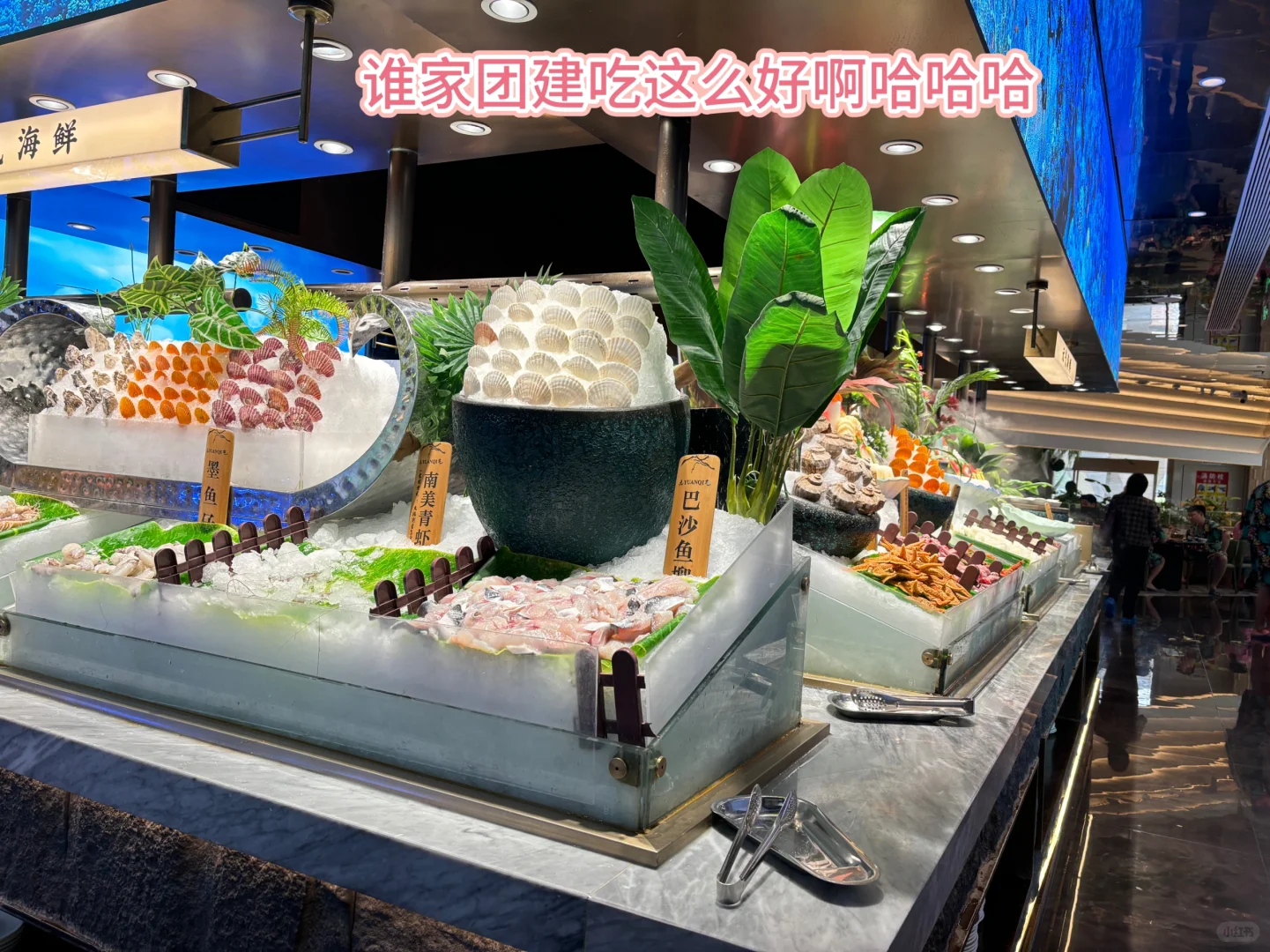 在南昌女性友好公司治好了我的厌班症！