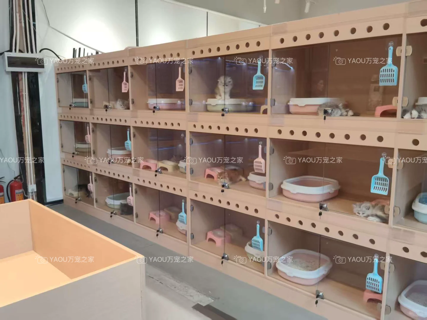 南昌买狗好去处！！南昌宠物基地推荐