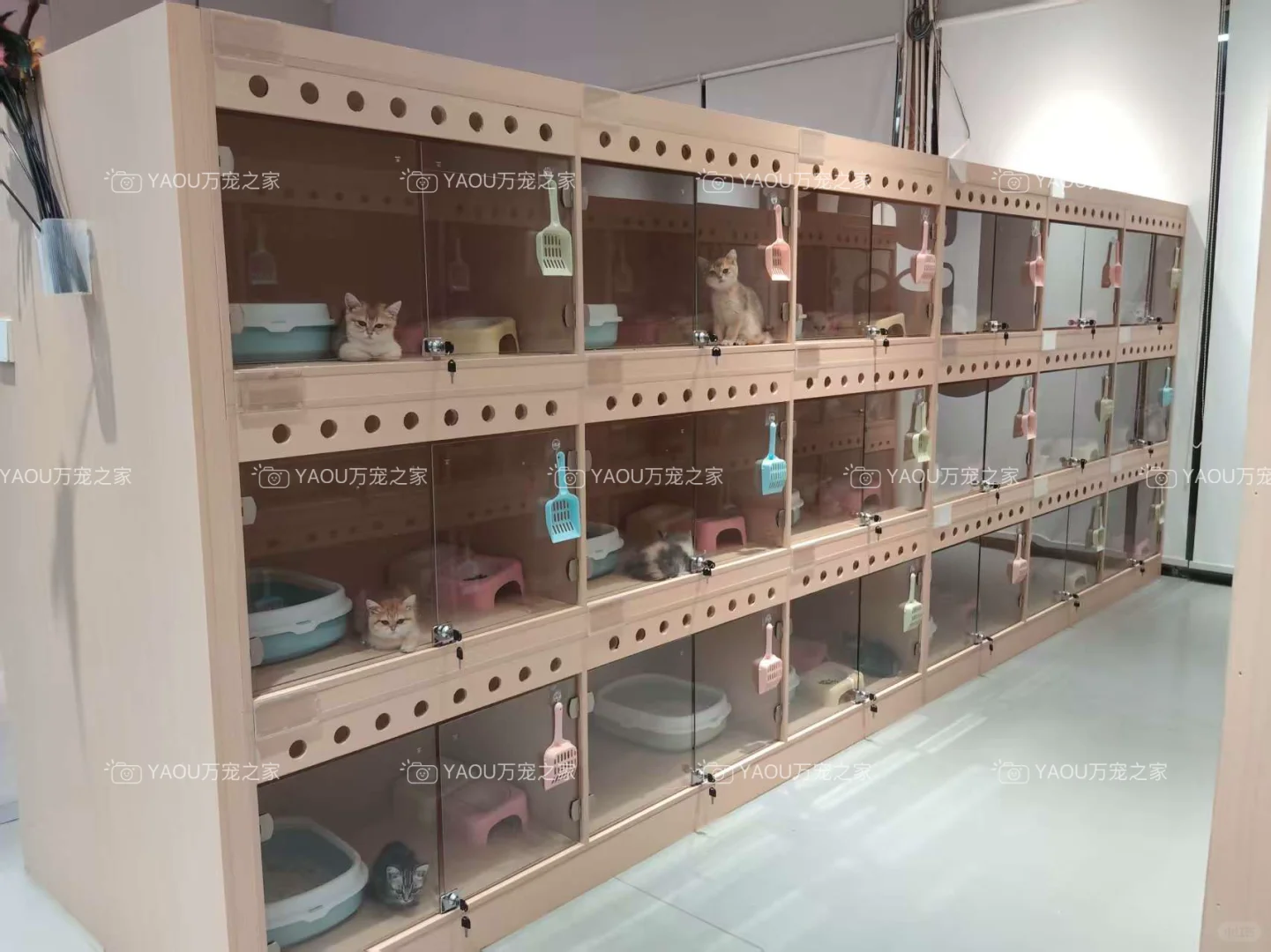 南昌买狗好去处！！南昌宠物基地推荐